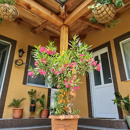 Casa Adrian 科尔布