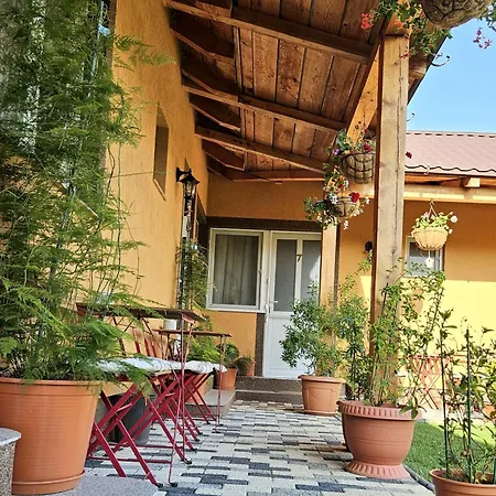 Casa Adrian 3* 科尔布